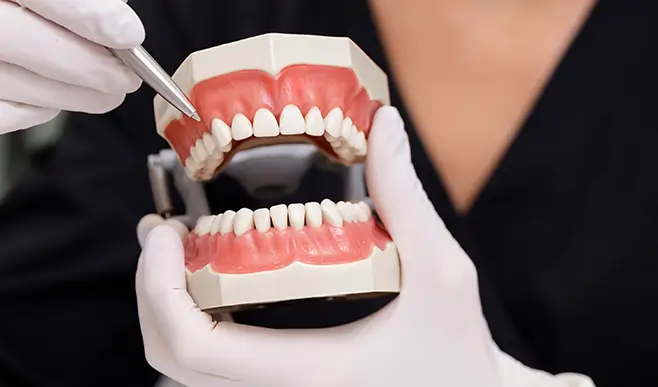 close-up-dentist